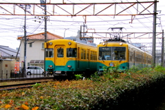 かぼちゃ君～♪　☆ｗ☆