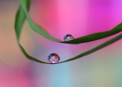 心海ＤＲＯＰＳ　108