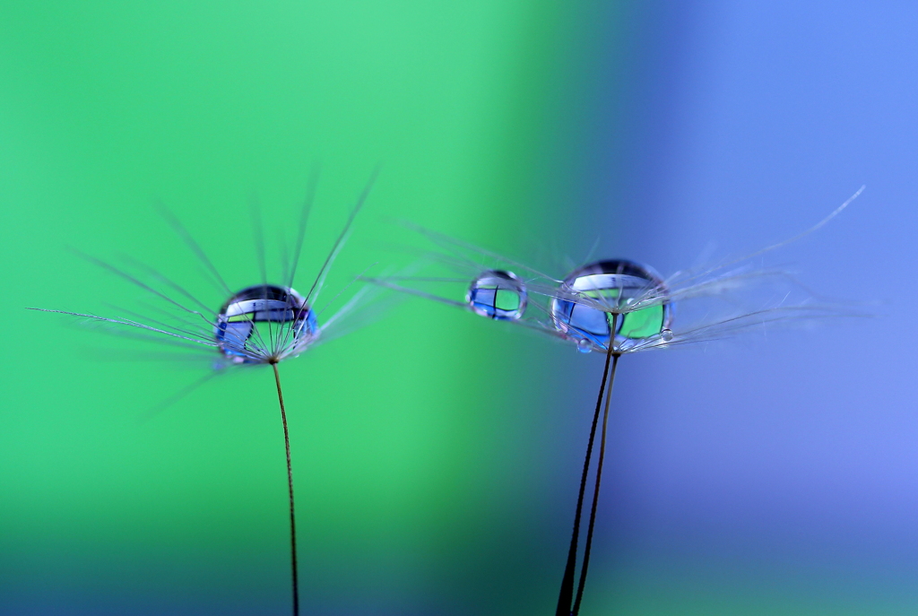 ｇｒｅｅｎ～&～ｂｌｕｅ