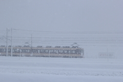 吹雪の中を走る