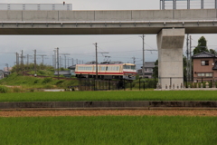 くぐり抜けるよ～♫