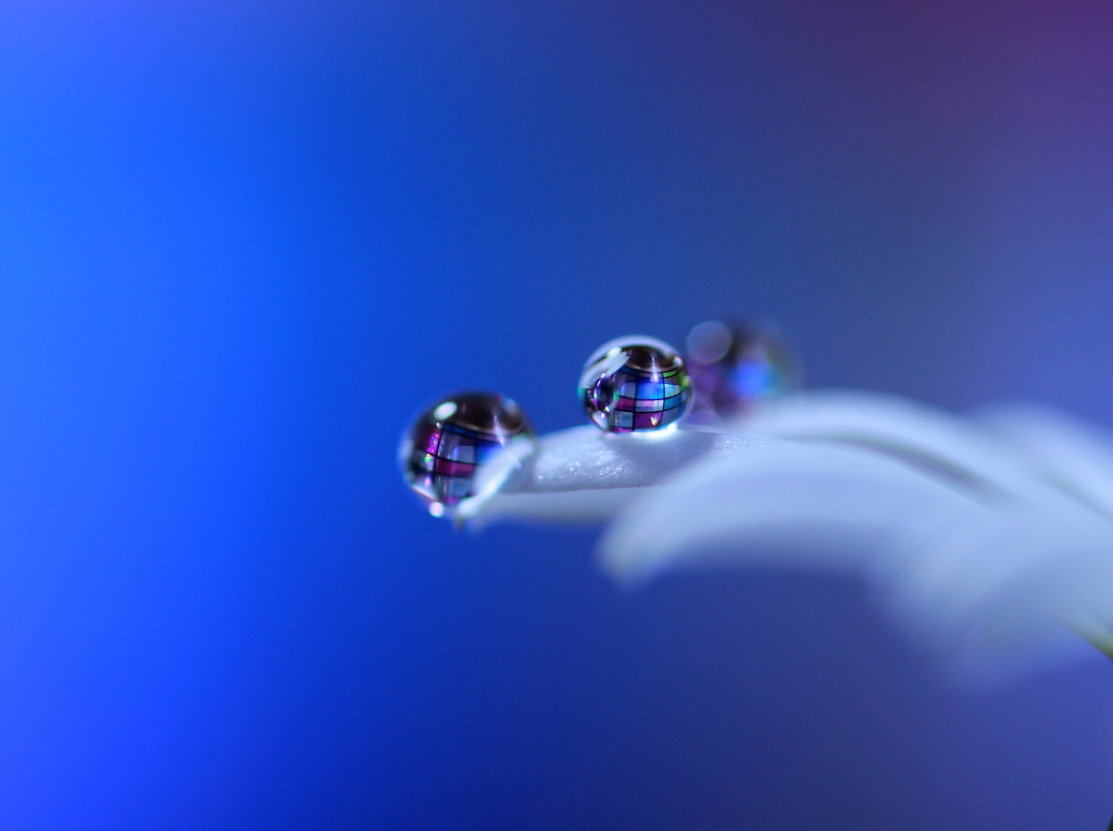 心海ＤＲＯＰＳ・・・ファンタジー