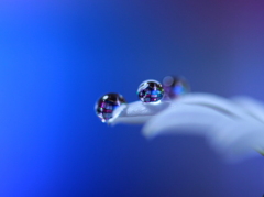 心海ＤＲＯＰＳ・・・ファンタジー
