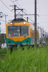 来たよ～いいね！