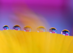 開幕（ショーの始まり）