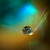 心海ｄｒｏｐ
