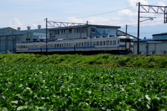 見たことがない顔の電車君です。