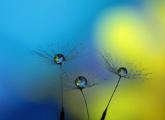 心海DROPS・・・青空に憧れて～♪