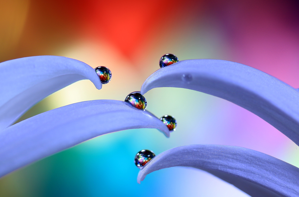 心海ｄｒｏｐｓ