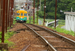 良かった・・・