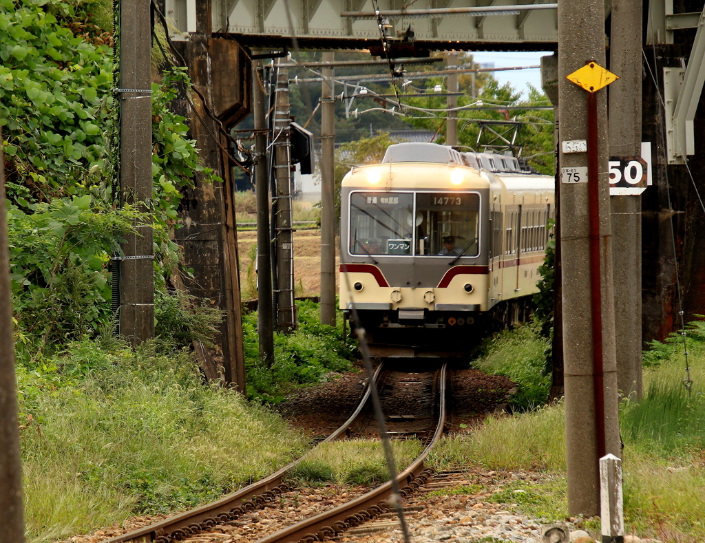 ダイコン君～♪　くぐり抜けて・・・