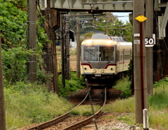 ダイコン君～♪　くぐり抜けて・・・