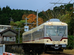 ダイコン君～！