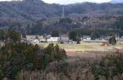 　かぼちゃ君～♪　どこだろう？