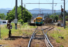 かぼちゃ君～♪