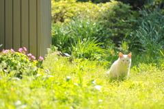 こっちにおいでよ～♪