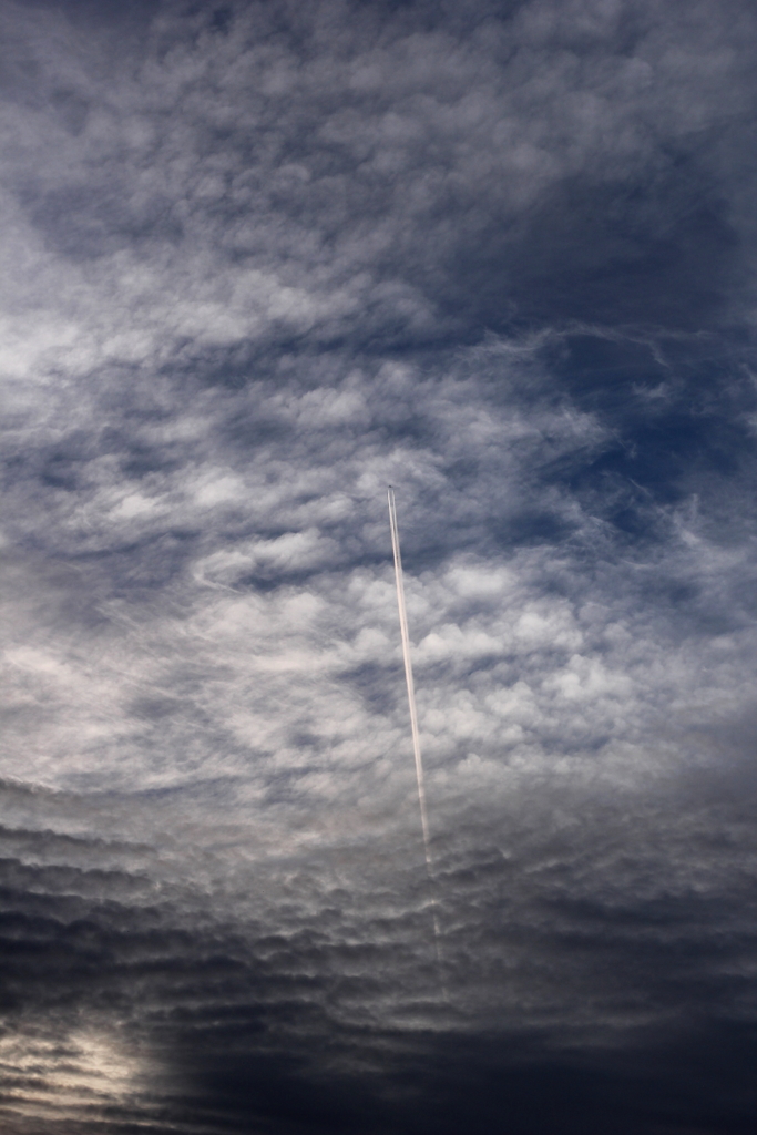 飛行機雲と鱗雲のコラボ