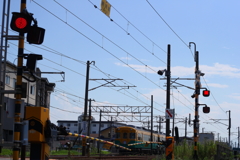 かぼちゃ電車を追いかけろ～