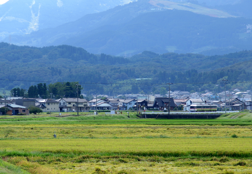 稲刈り時期が近づいて・・・