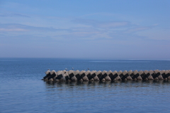 僕らが居るのがわかりますか？