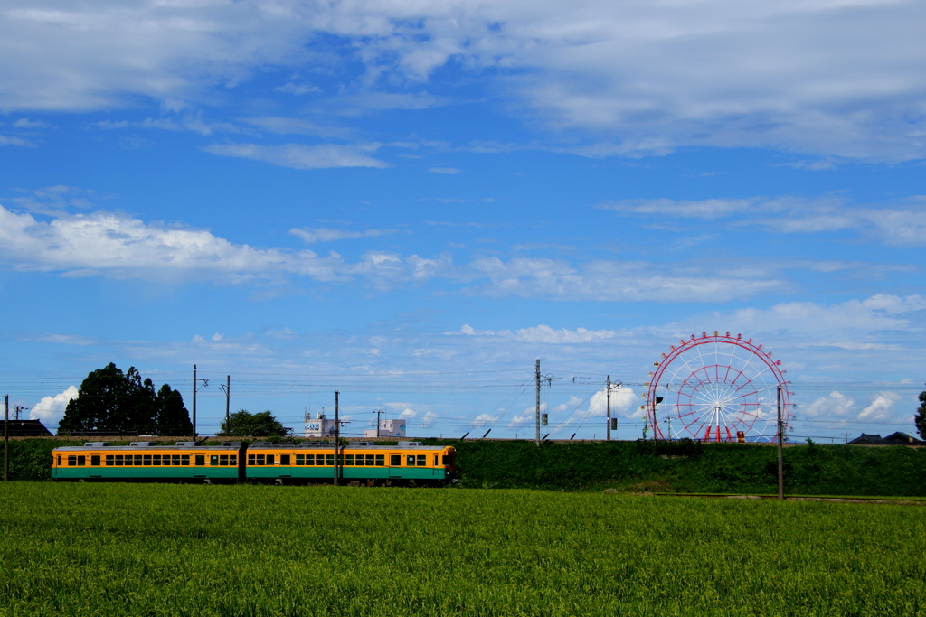 かぼちゃ君～♪