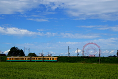 かぼちゃ君～♪