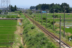 かぼちゃ君を探そう～♪