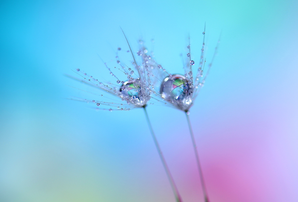 心海ＤＲＯＰＳ・・・ヒーリング