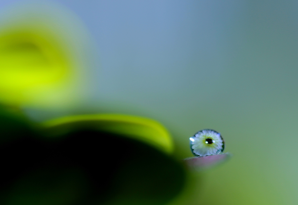 君をのせて～あの地平線輝くのは♪