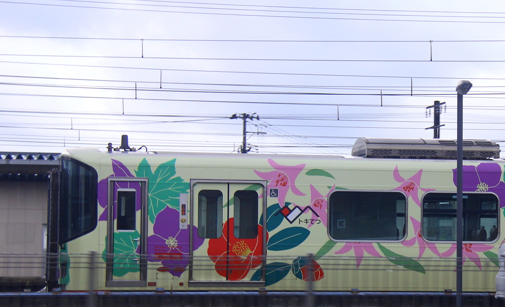 鉄子、隣の県の電車を撮ってきた。