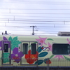 鉄子、隣の県の電車を撮ってきた。