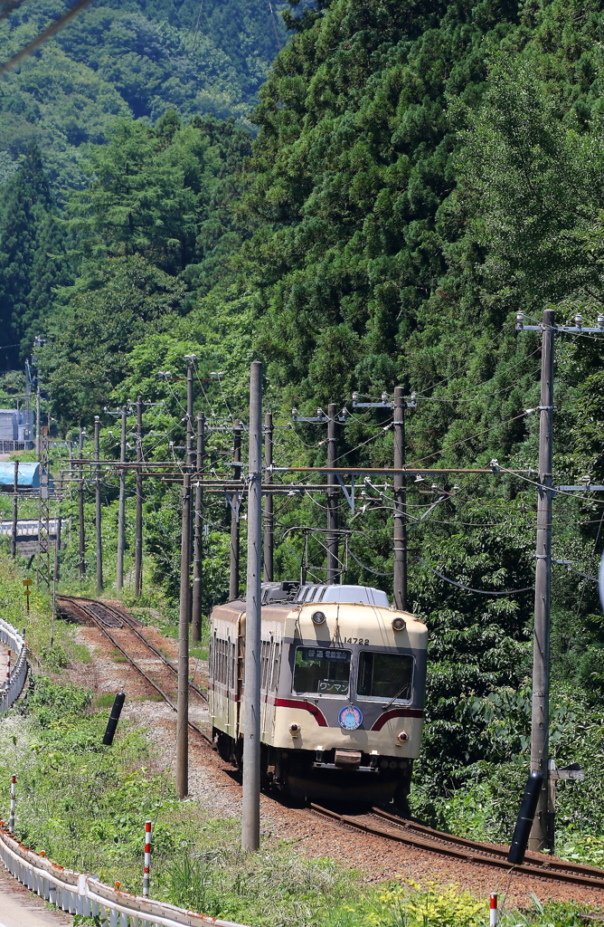 富山地鉄（ダイコン電車が走る～）