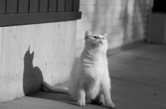 花見に行こう～♪