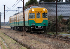 かぼちゃ君～♪