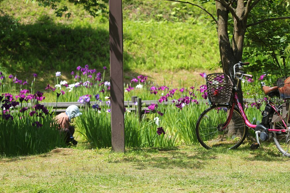 花の手入れご苦労様