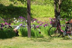 花の手入れご苦労様