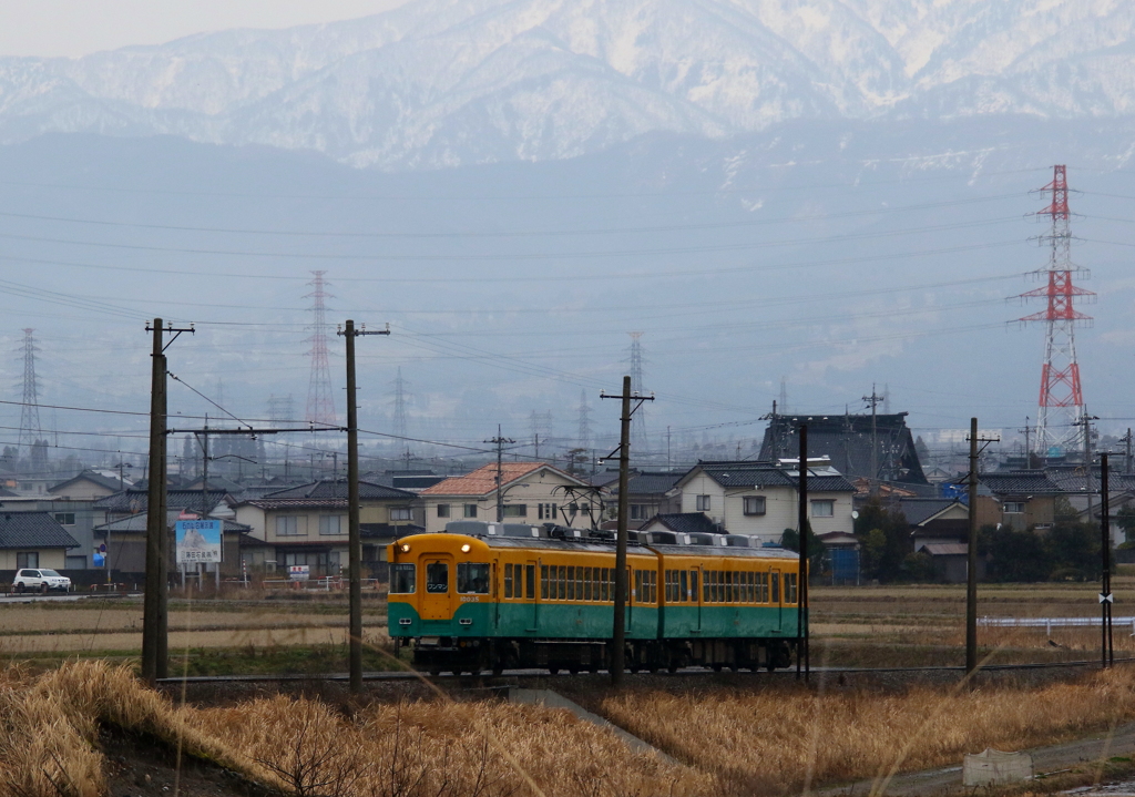 かぼちゃ君～♪