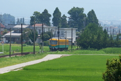 かぼちゃ電車君が行く