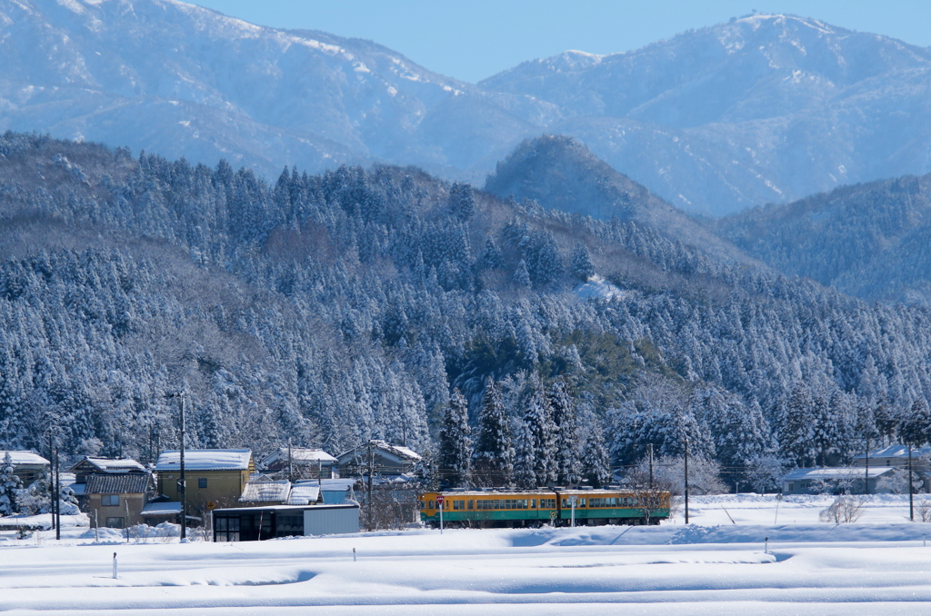 かぼちゃ君~♪　雪景色を走る