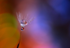 夢の途中 ・・・☆