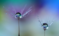 心海ＤＲＯＰＳ　99