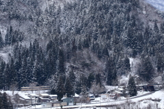 山の中を走る～2