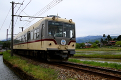 ダイコン君～♪