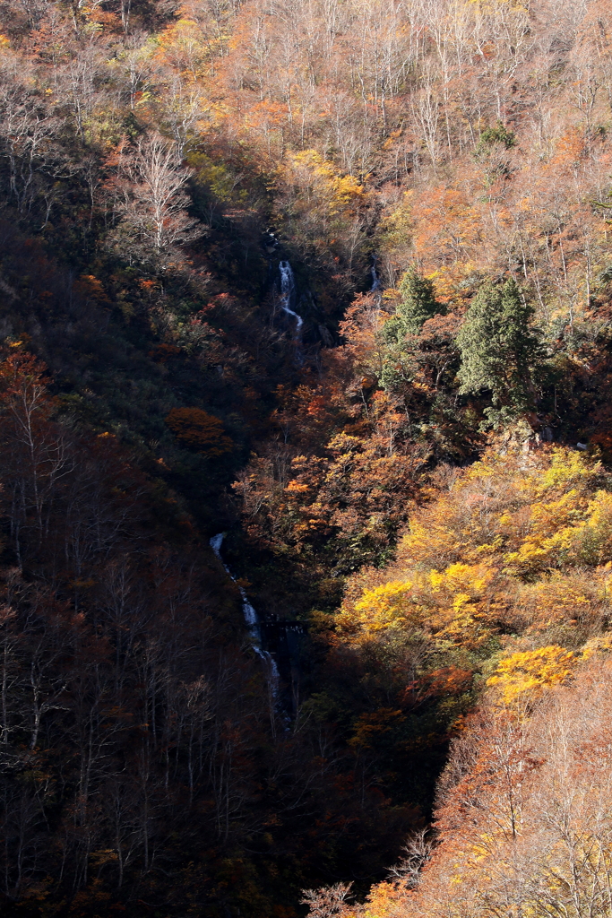 山の秋は深まりて・・・