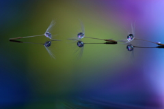 心海DROPS・・・・