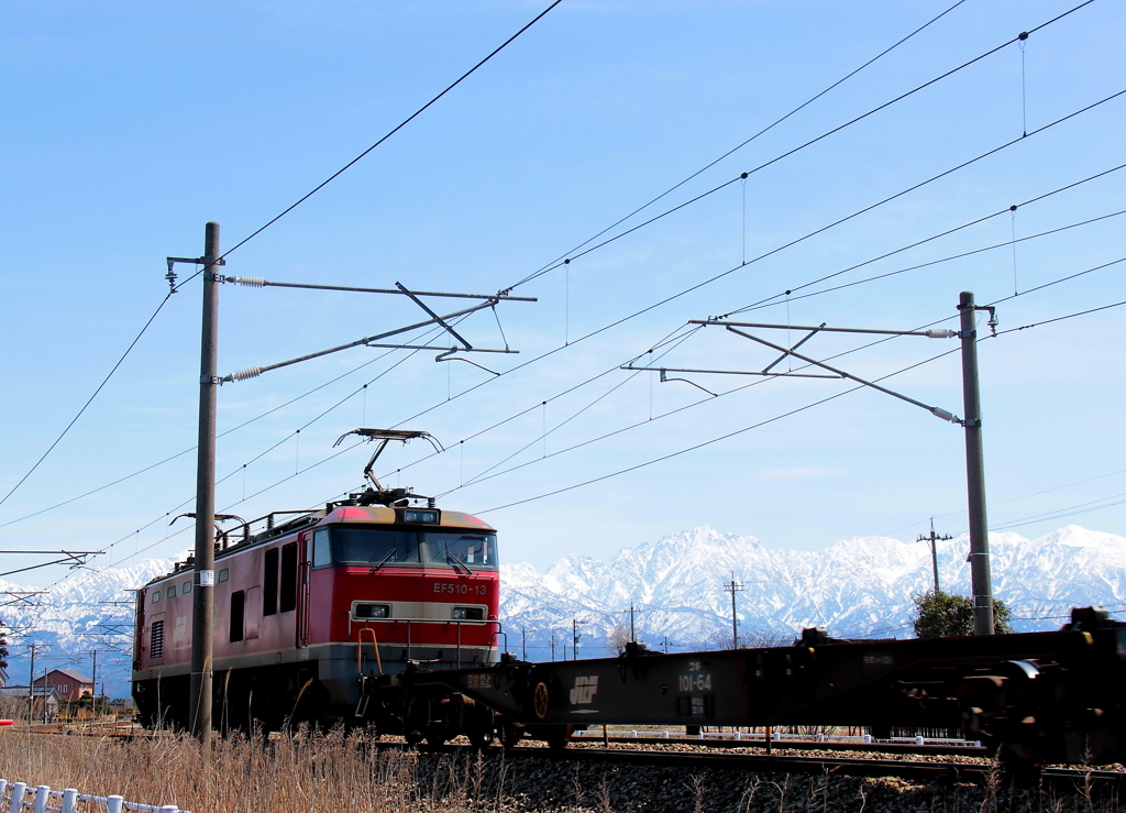 レッドサンダー君～♪