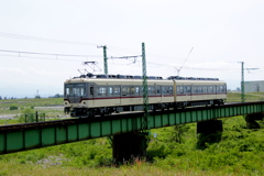ダイコン君~♪