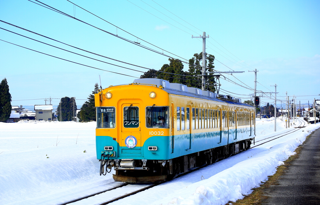 かぼちゃ君～♪