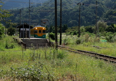 かぼちゃ君～＾＾♪