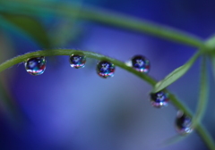 心海ＤＲＯＰＳ　105
